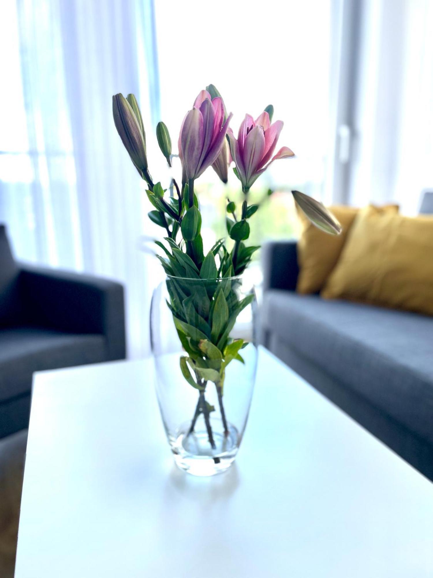 Sonja Apartman Zator Kültér fotó